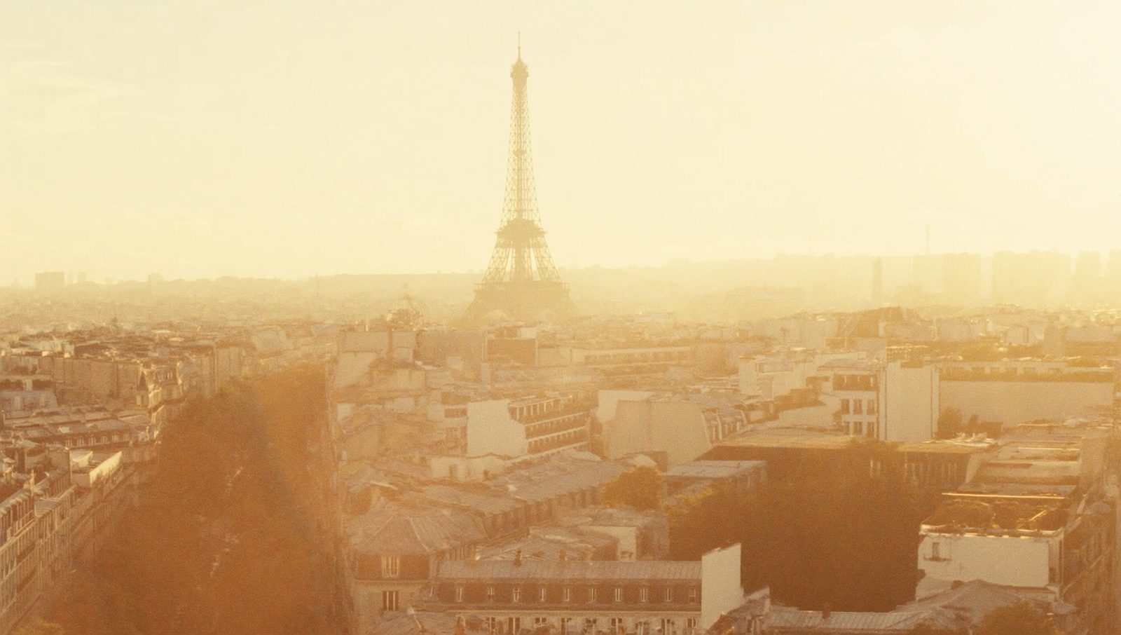 The Eiffel Tower over the rooftops of Paris