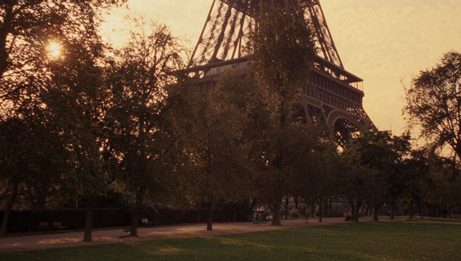 Green trees in a Paris park